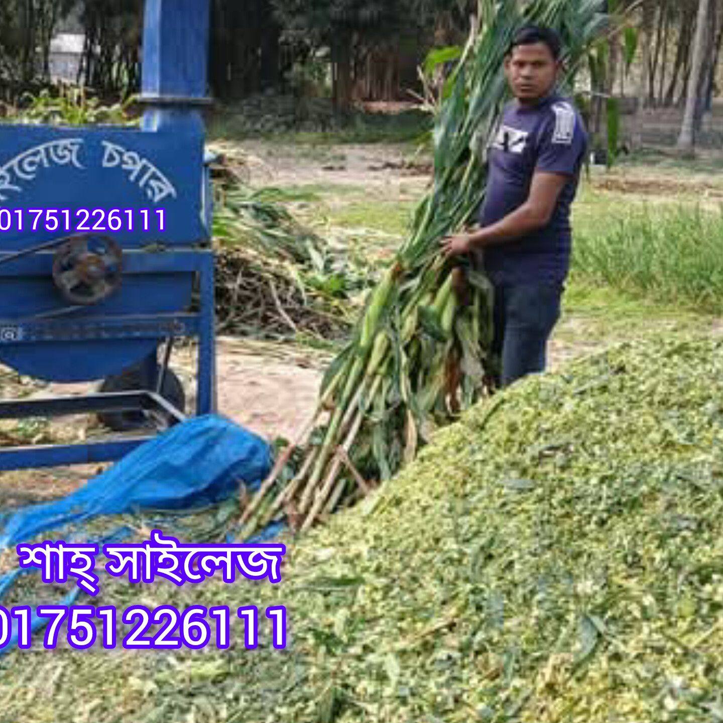Rasel Rana Rasel