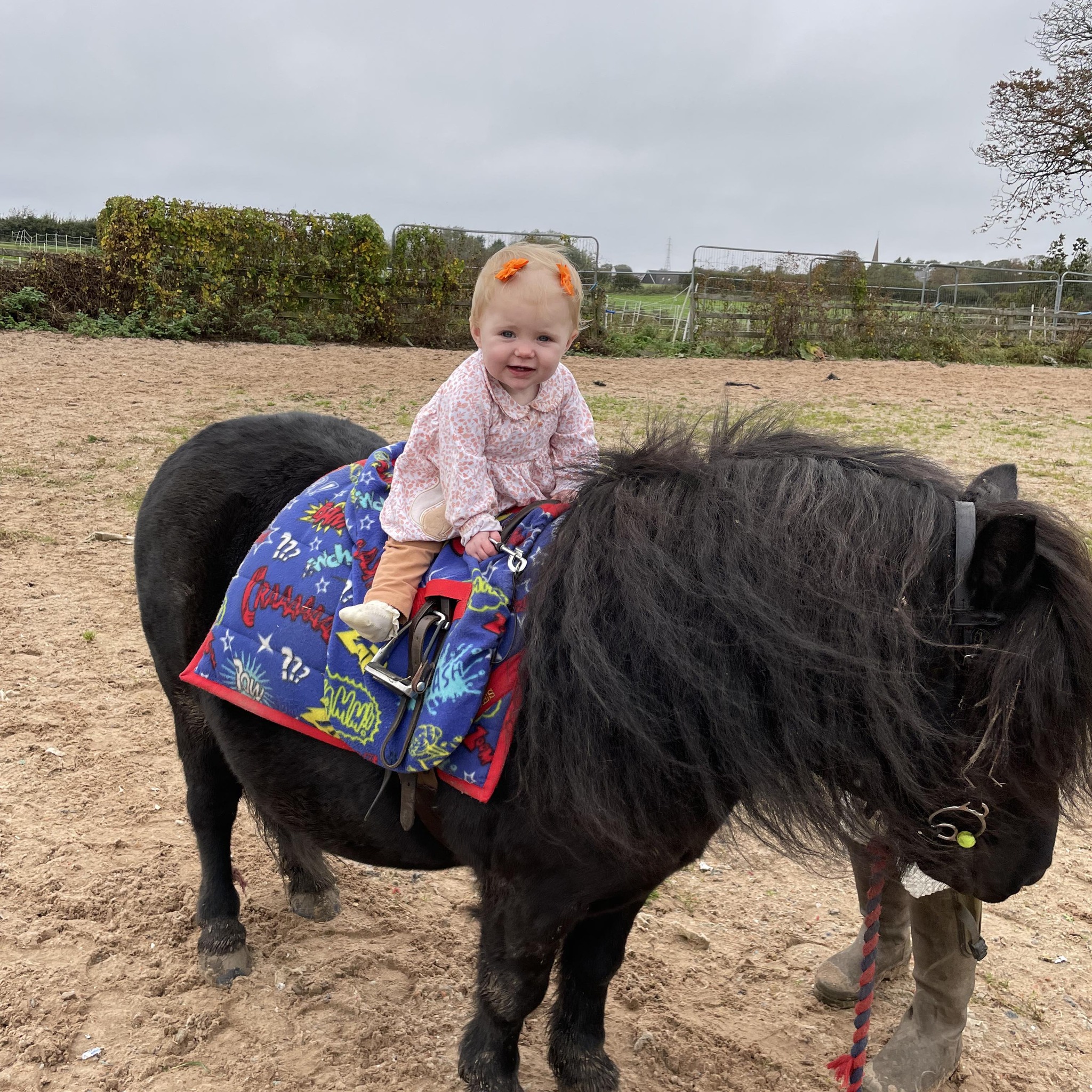 First ponies 🦄🦄 | 🦄🦄 Desperately seeking 11hh-12hh First Ridden Pony 🦄🦄 ...