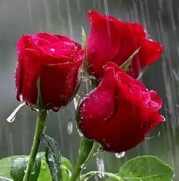 #india💔💔🥀💔💔 | Kaseer A R