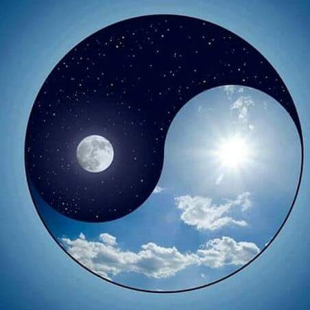 RAPACES IBÉRICAS | Cernicalo común, Falco tinnunculus. | Facebook