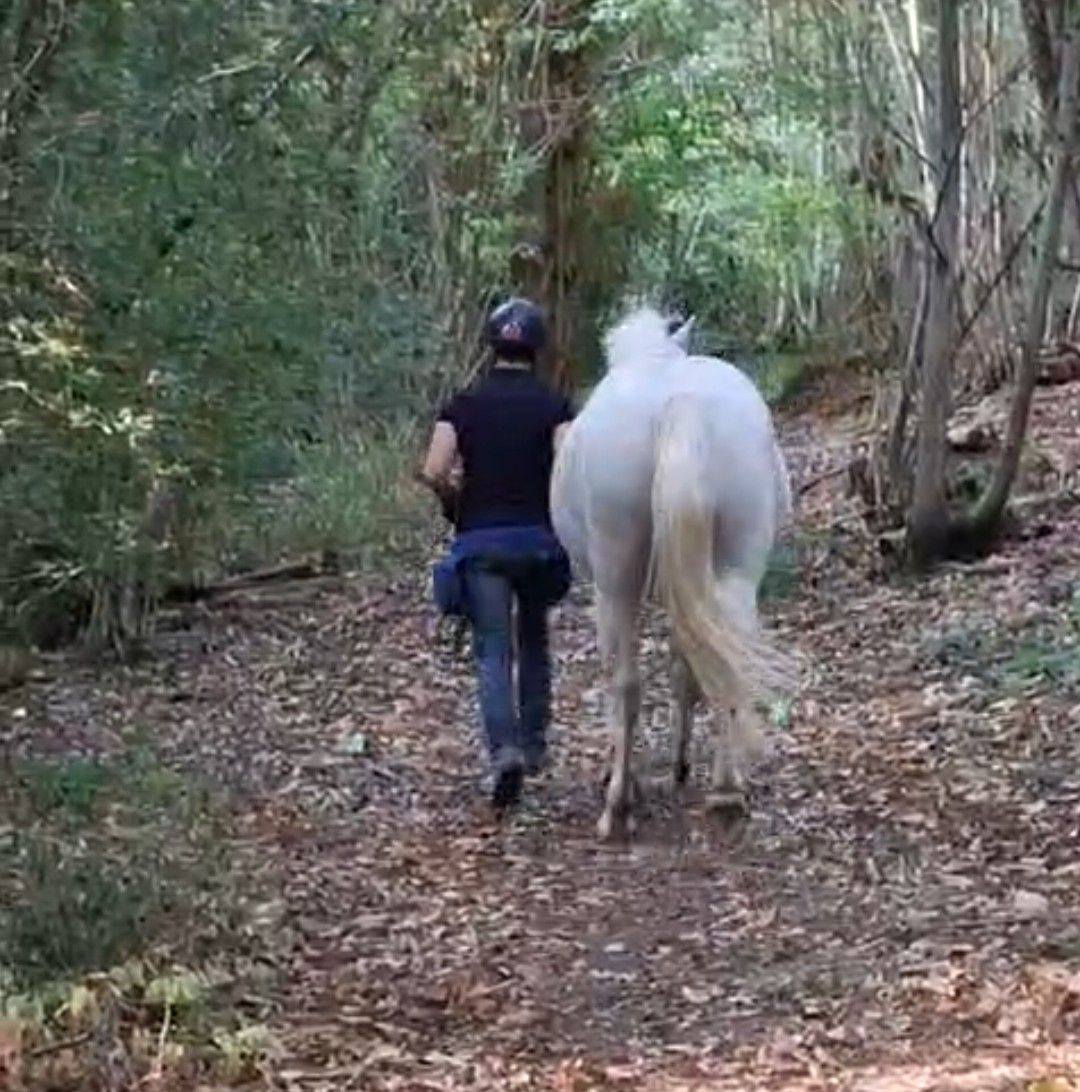 Cavaliers du 49 | 🐎 Hello ! | Facebook