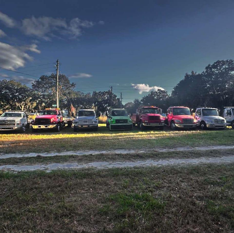 Ocala's Official Word of Mouth | Looking for a recommendation for an ...