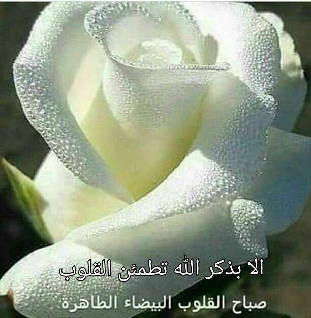 Fadia Othman (@fadia.othman.148) • Facebook, Connect with friends