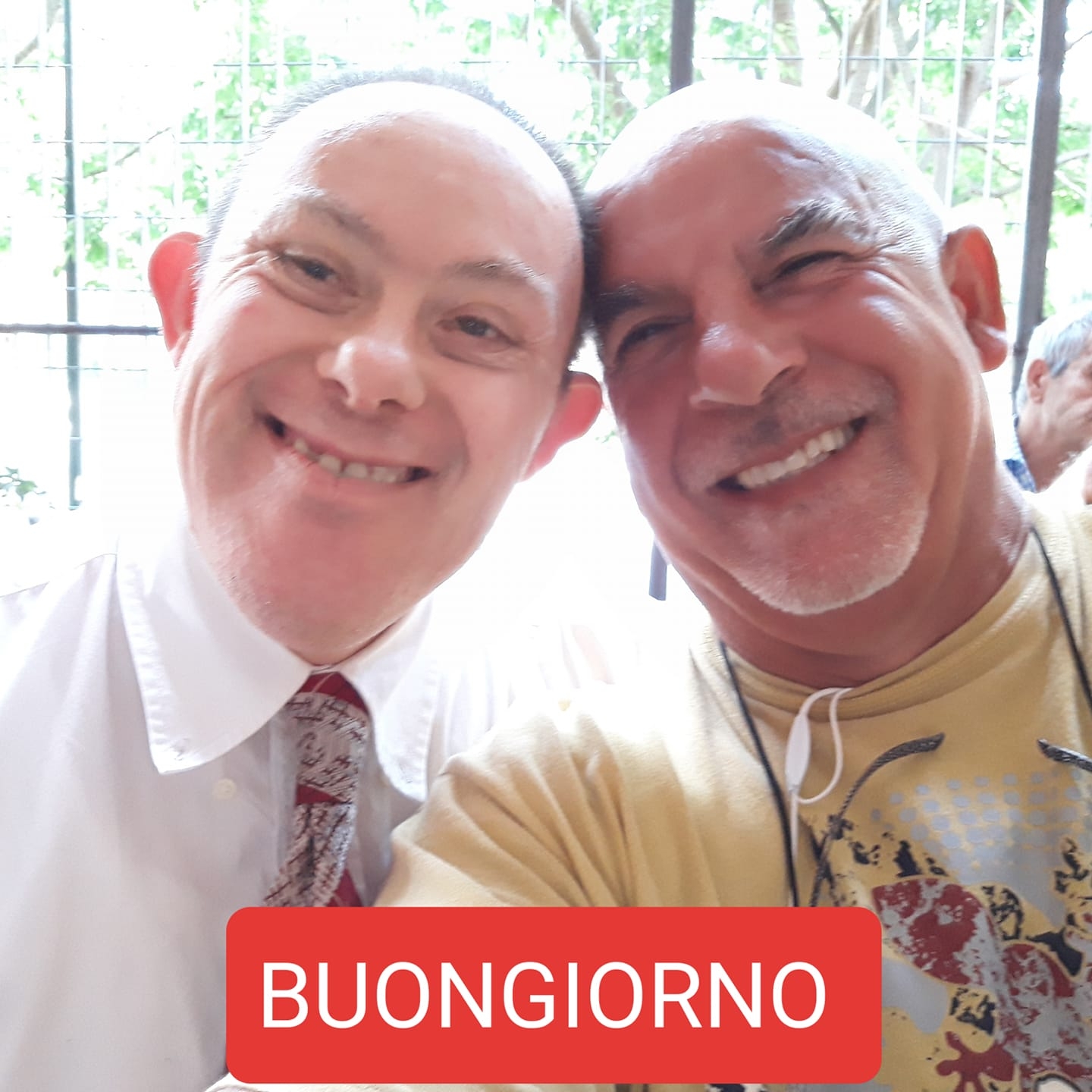 Marzial CINTURA Arti Marziali karatè Judo articolo C01