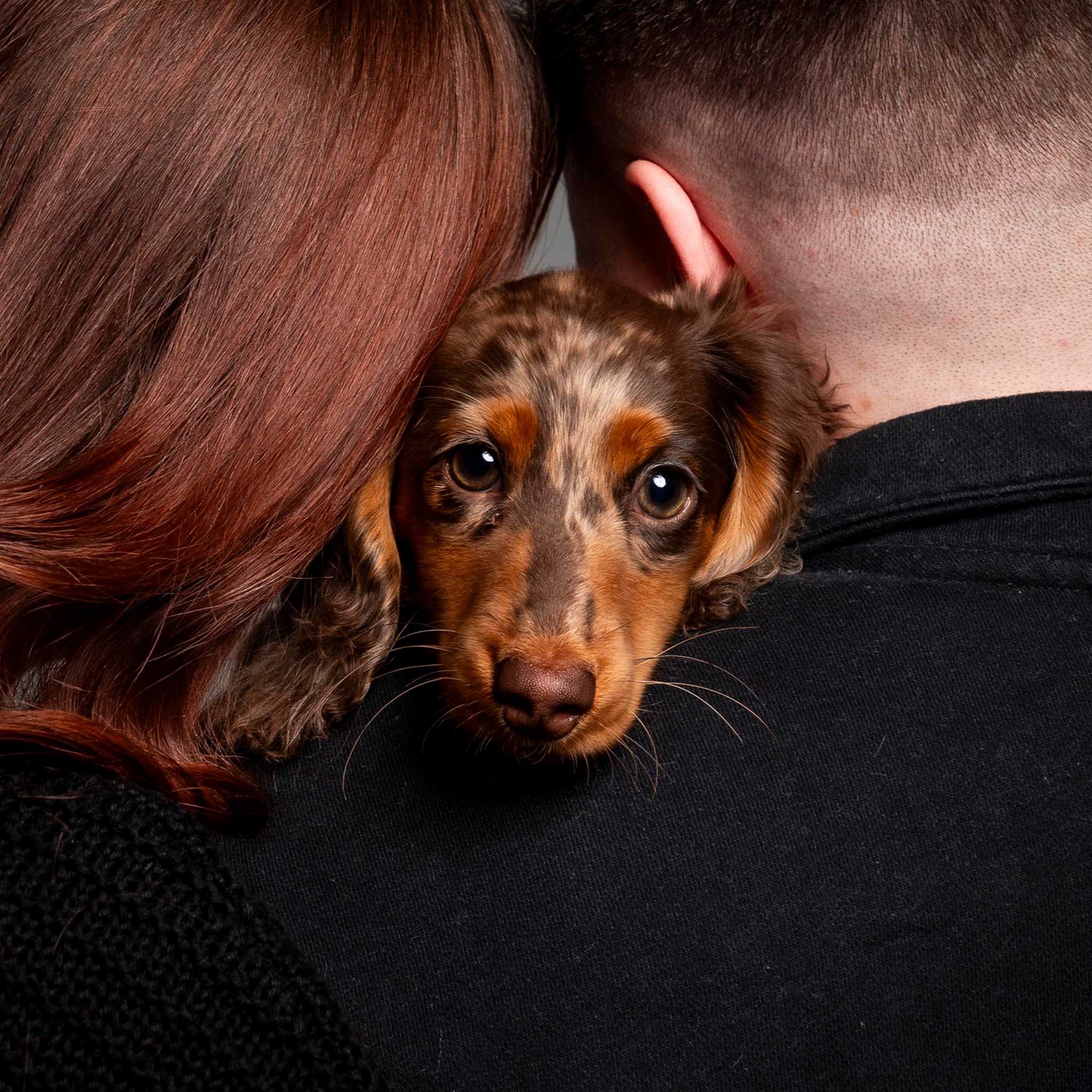 Milton Keynes City Noticeboard | Looking for recommendations for a dog ...