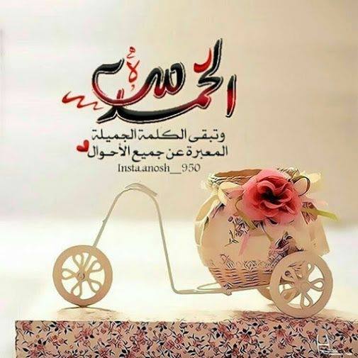 كل شي تمام!! | بلال عبدالله