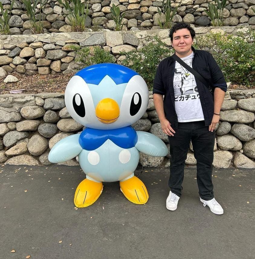 Error/Misprint Pokemon | Which Evolution Line Did You Train First ...