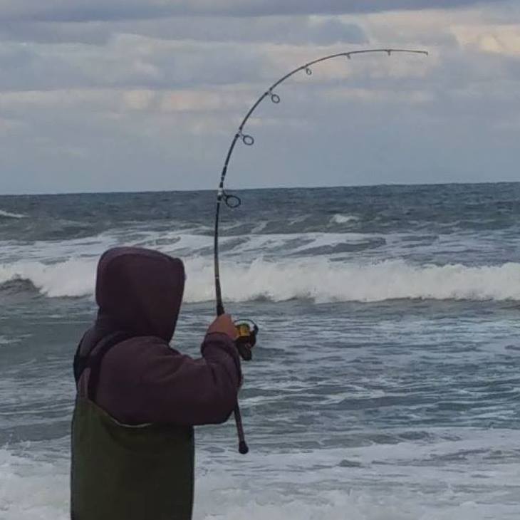 Custom Rod Builders | Anyone try Blackhole's stripe bass special rod ...