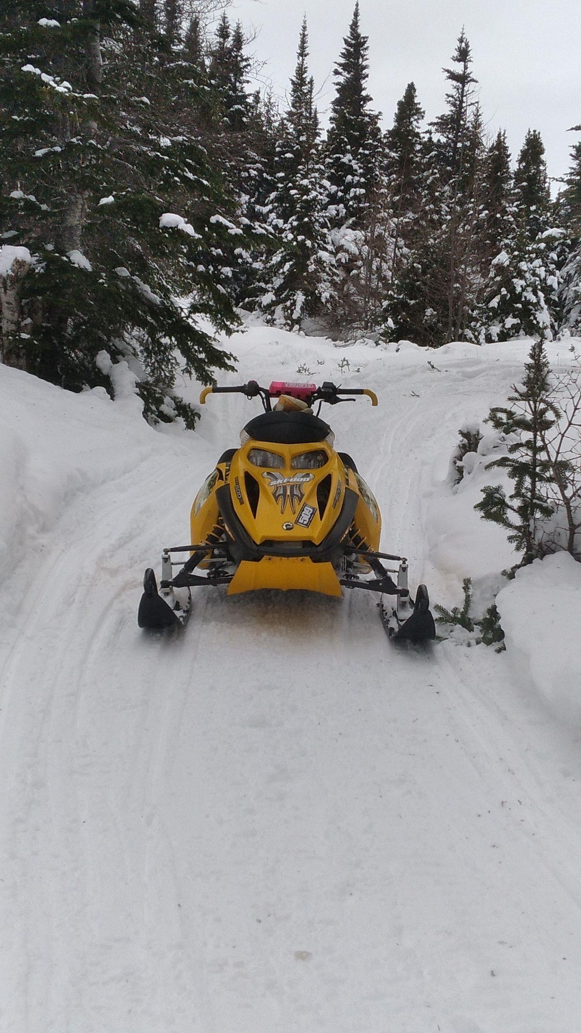 Popular opinion: twins with a can and 3 cyl 4 strokes don’t sound very ...