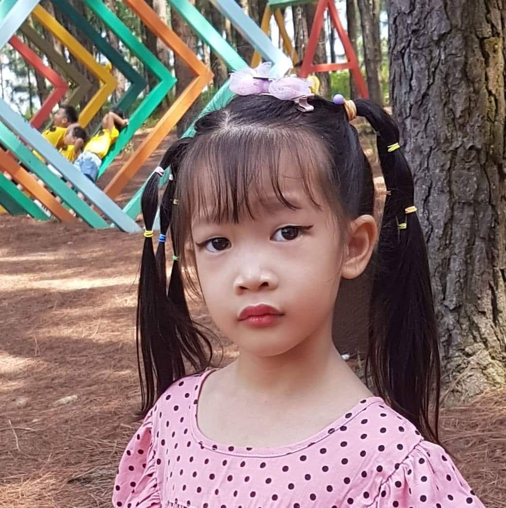 Thảo dược quý: Cây Tử Bối Diệp (hay một điểm hồng, rau má lá) #thuocnam ...
