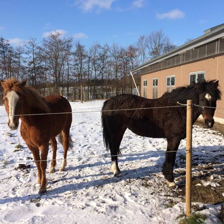 charlotte-wittrup-bengaard