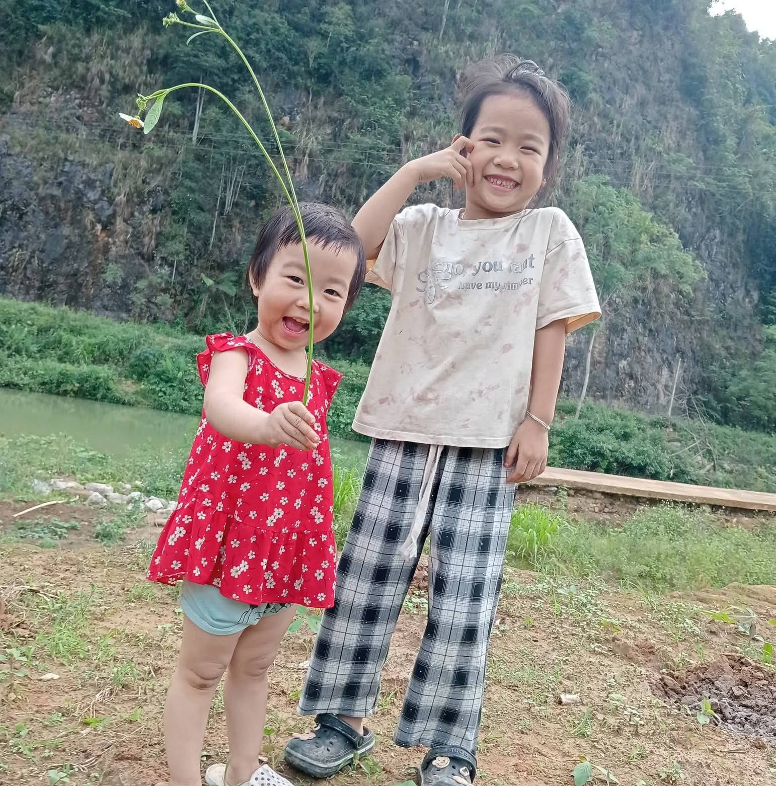 Cho e hỏi đây là rắn gì ạ | Facebook