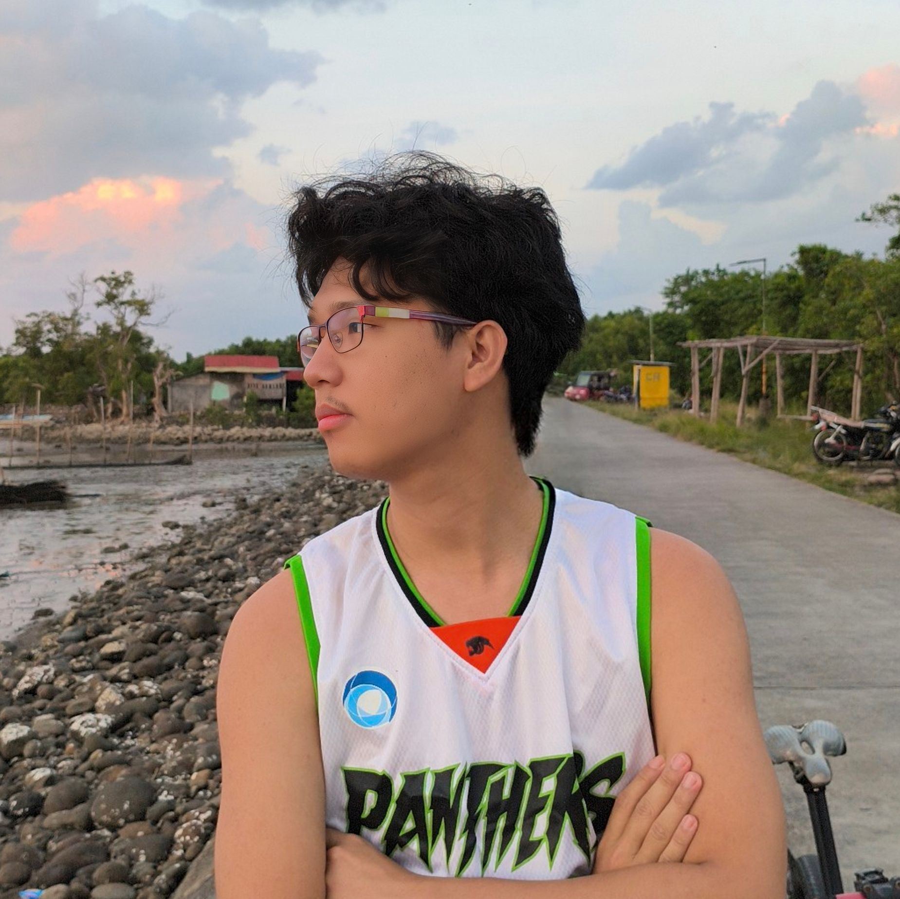 Mike Francis Locsin