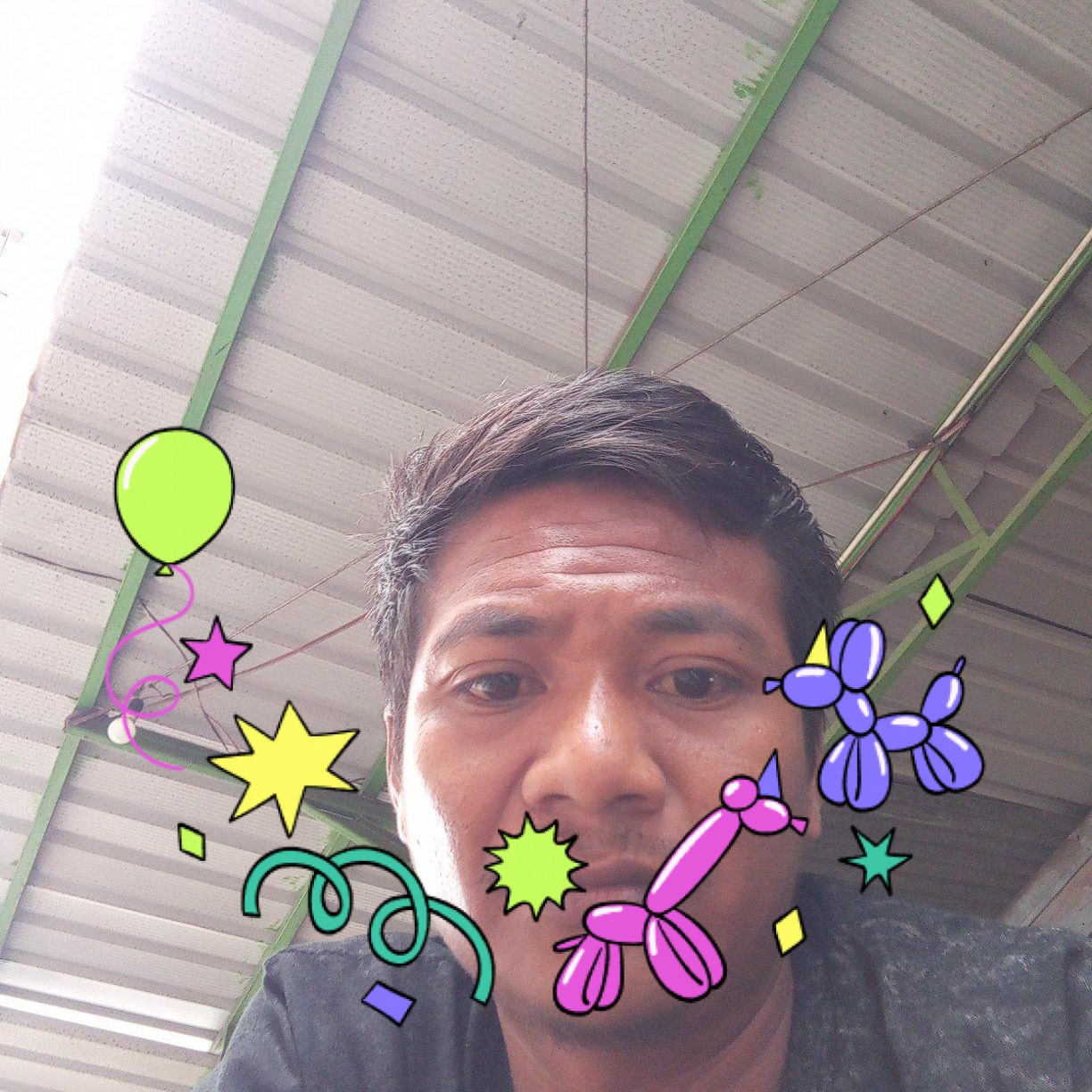 PHB (pasar hewan Bandung) | anak garangan mandiri. | Facebook
