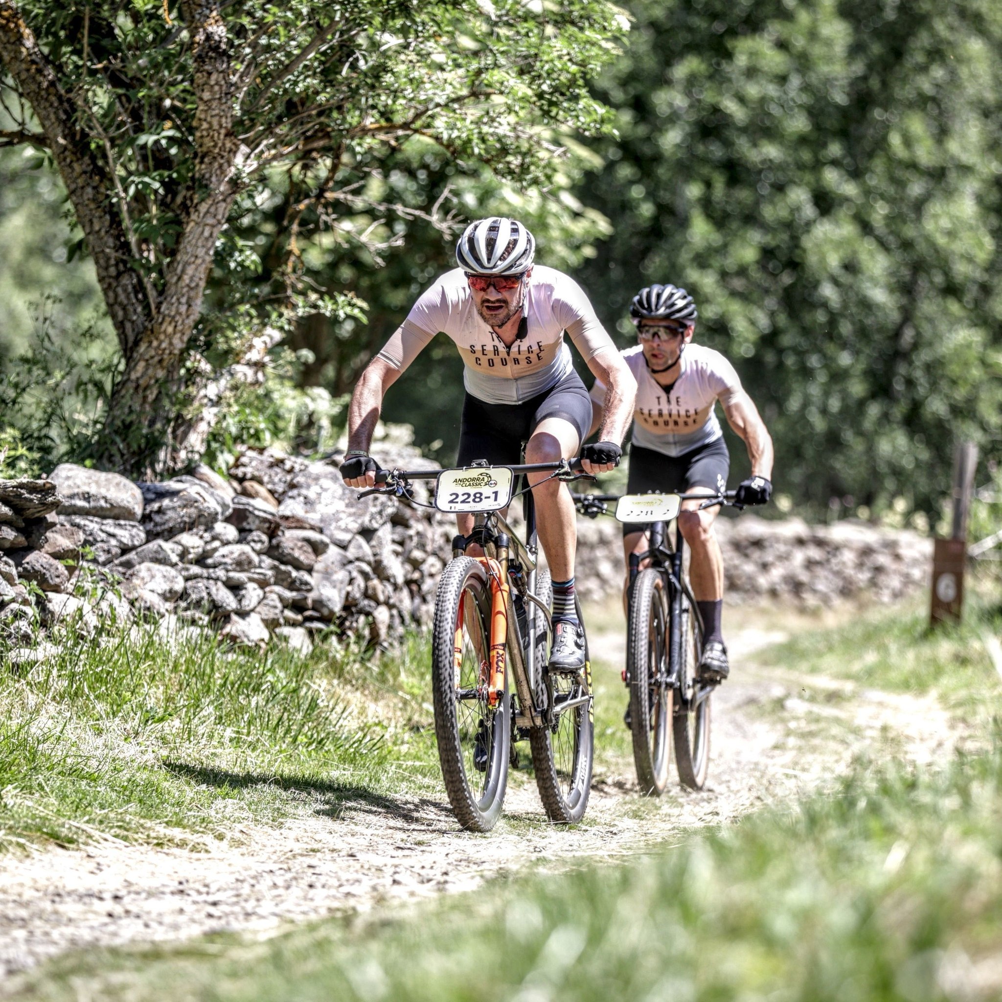 Chinese Bikes, Wheels, and Accessories 🇨🇳 🚴‍♂️ | Hello, can anyone ...