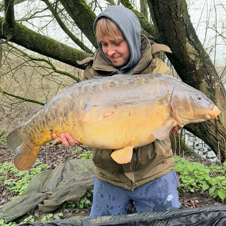 GoodZ - 🔥 GOODZ FAMILY – NEW BLOOD, SAME RESULTS 🔥 We’re buzzing to ...