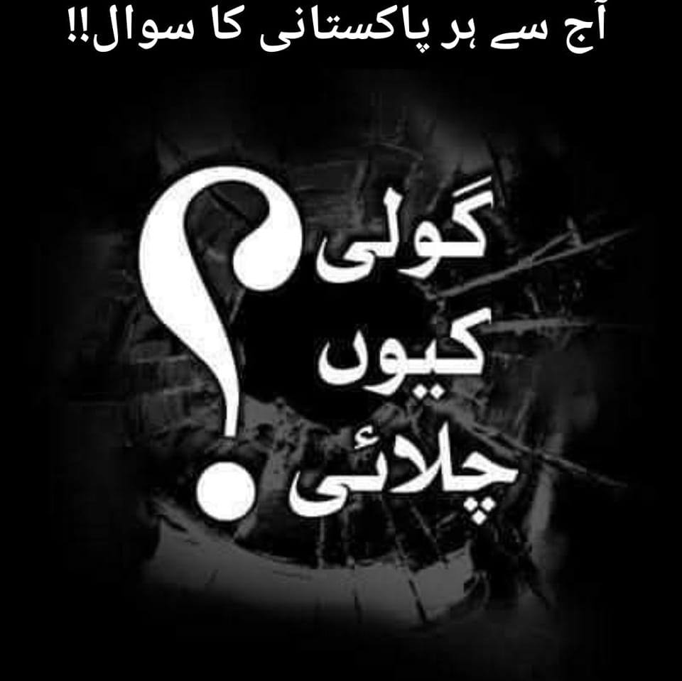 ایڈیشنل ایڈووکیٹ جنرل پشاور ہائیکورٹ بنوں بنچ زاہد الحق اور اسسٹنٹ ...