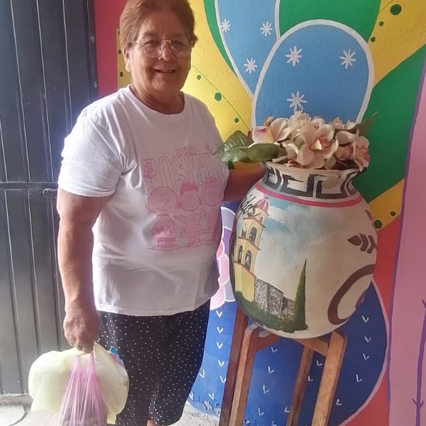 INFONAVIT LOS EBANOS | VENTA DE PARRILLA DE 3 QUEMADORES PORTÁTIL Y ...