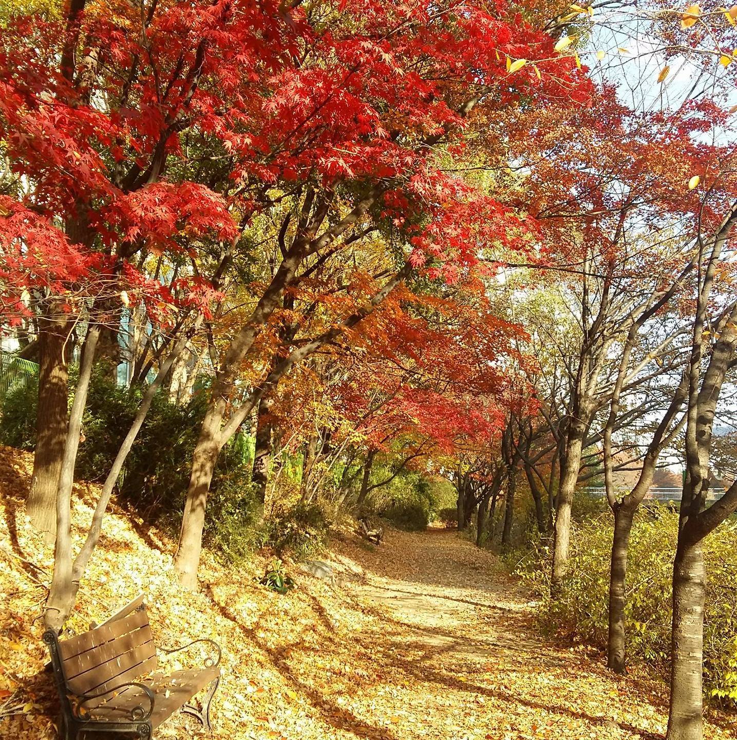 더불어민주당 전국 권리당원 | 당청분리 안되면 총선패배 대선패배 | Facebook