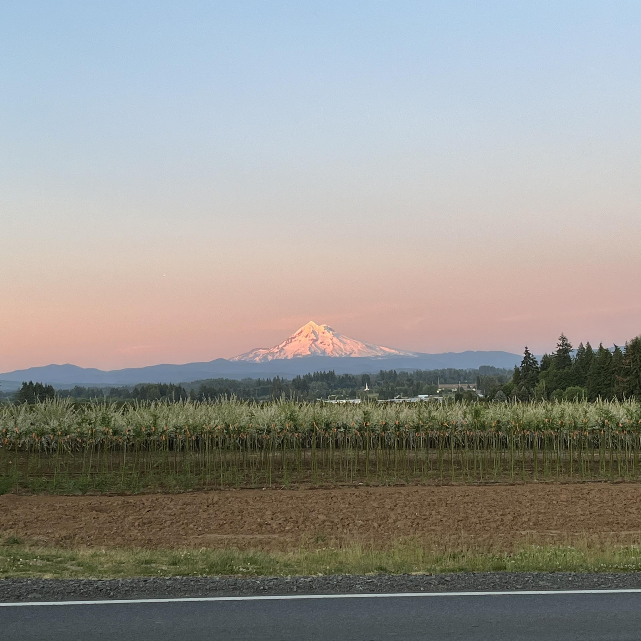 PNW Dirt Talk | Gifford is magic right now | Facebook