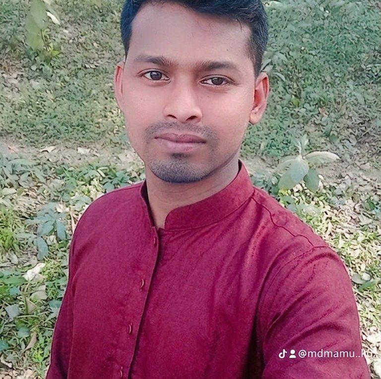 Md Mamun Hossain Raj