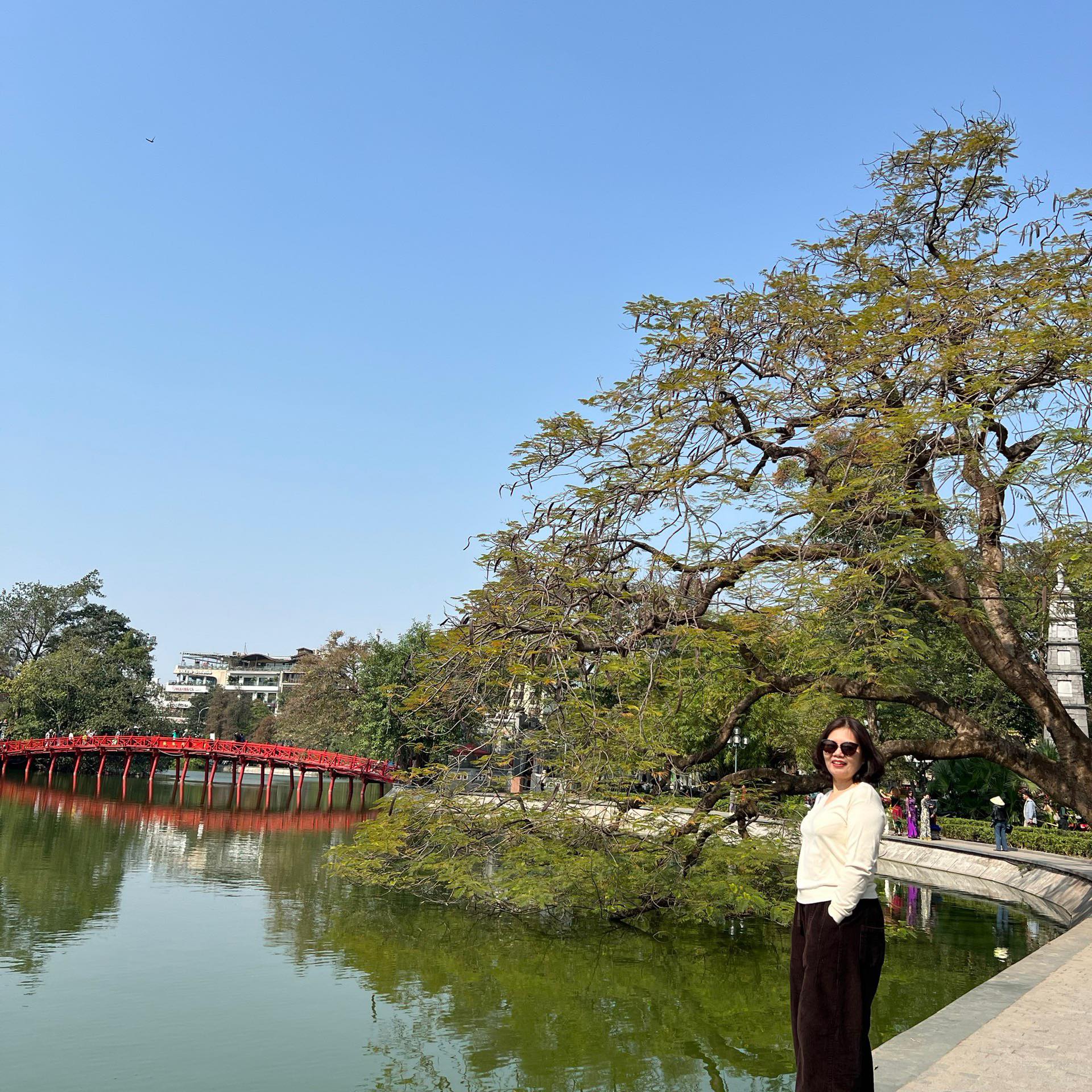 ZARA Authentic VN | ASICS sal e 50%%% hiếm lắm ạ | Facebook