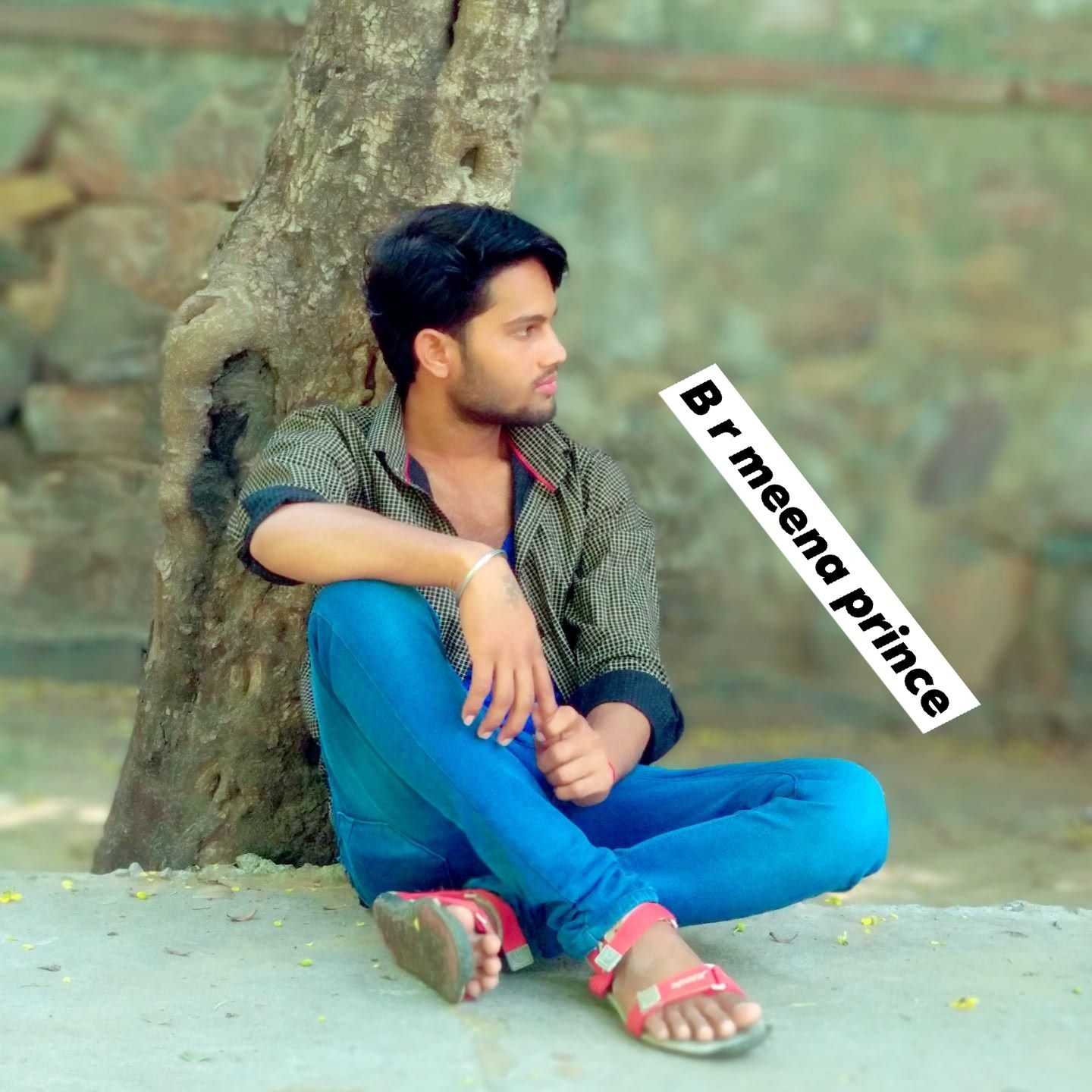 B R Meena Prince