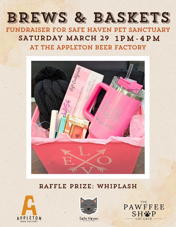 Safe - 😻🎟️RAFFLE SNEAK PEAK 🎟️😻 We're sharing a ton of sneak peaks at ...
