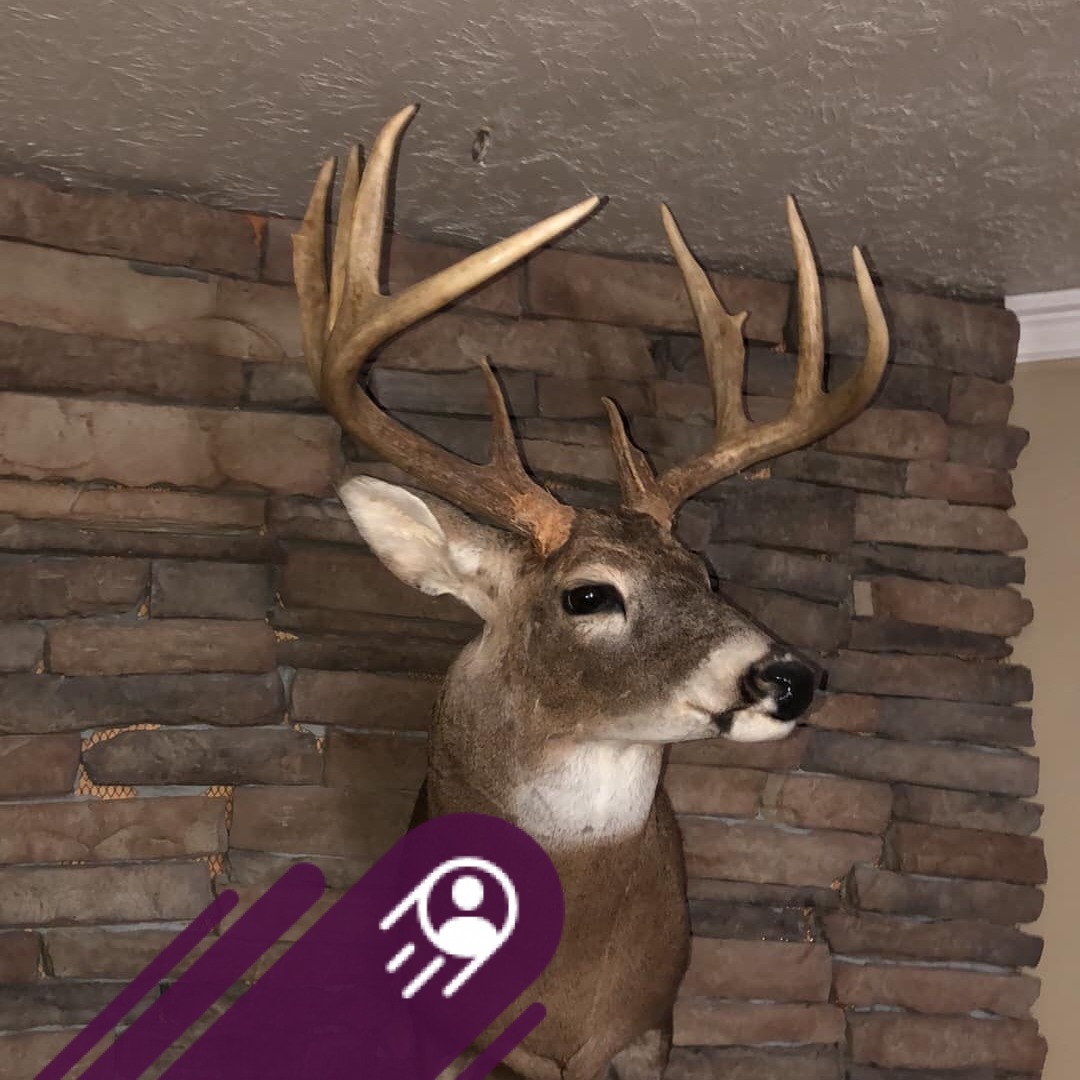 Kansas Rut Report | Facebook