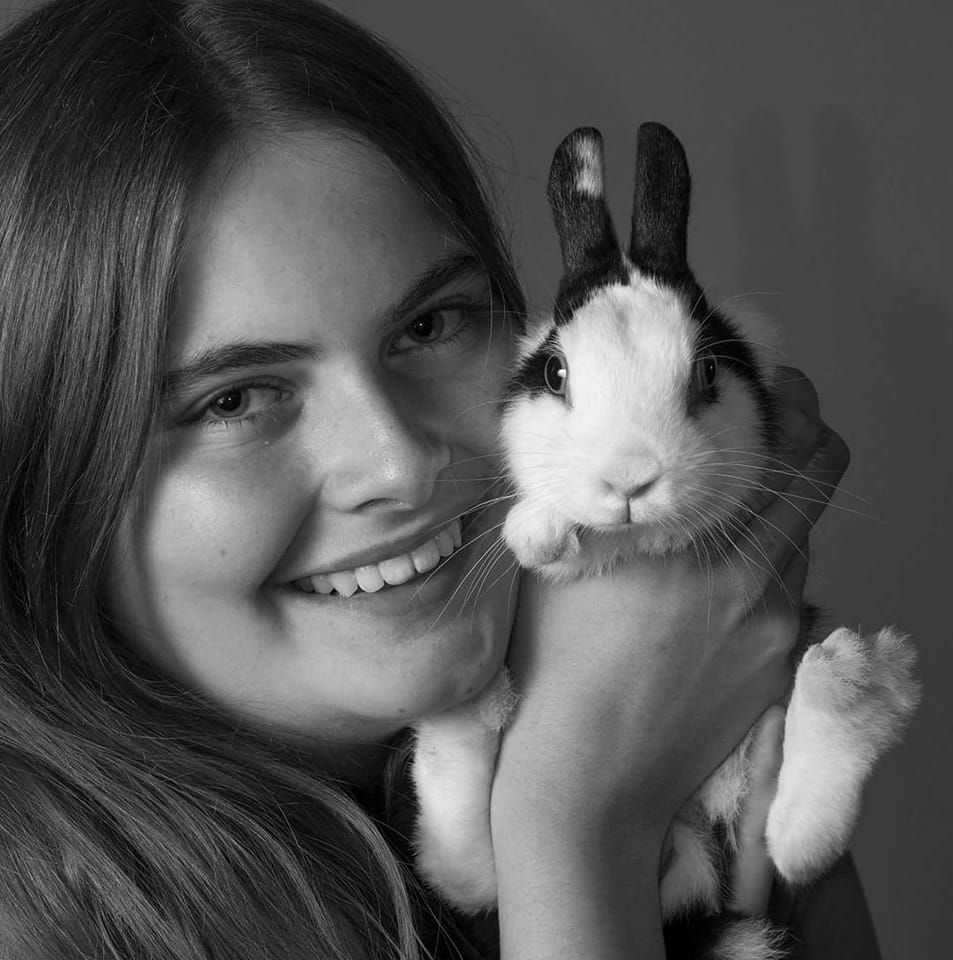 Rabbit Fans Society | Facebook