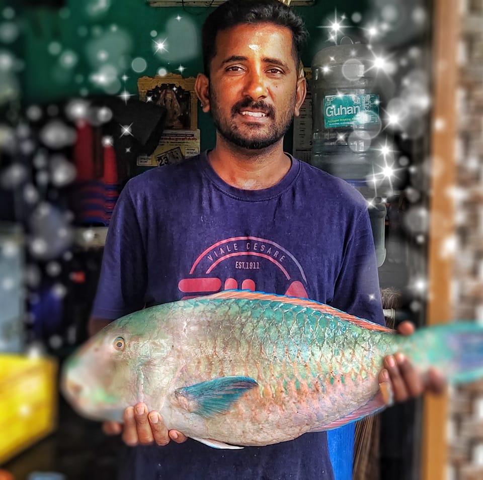 Omega Fish Palani
