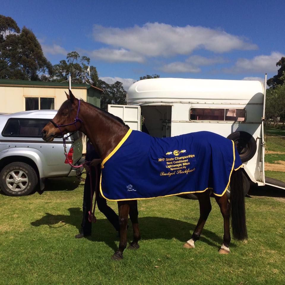 Western Australian Endurance Riders Association Inc. (WAERA) | Hello ...