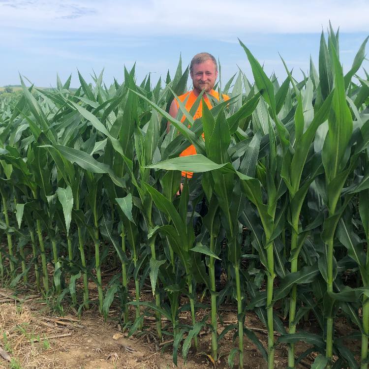 Silage Kings | What’s a good rate for custom chopping don’t have scales ...
