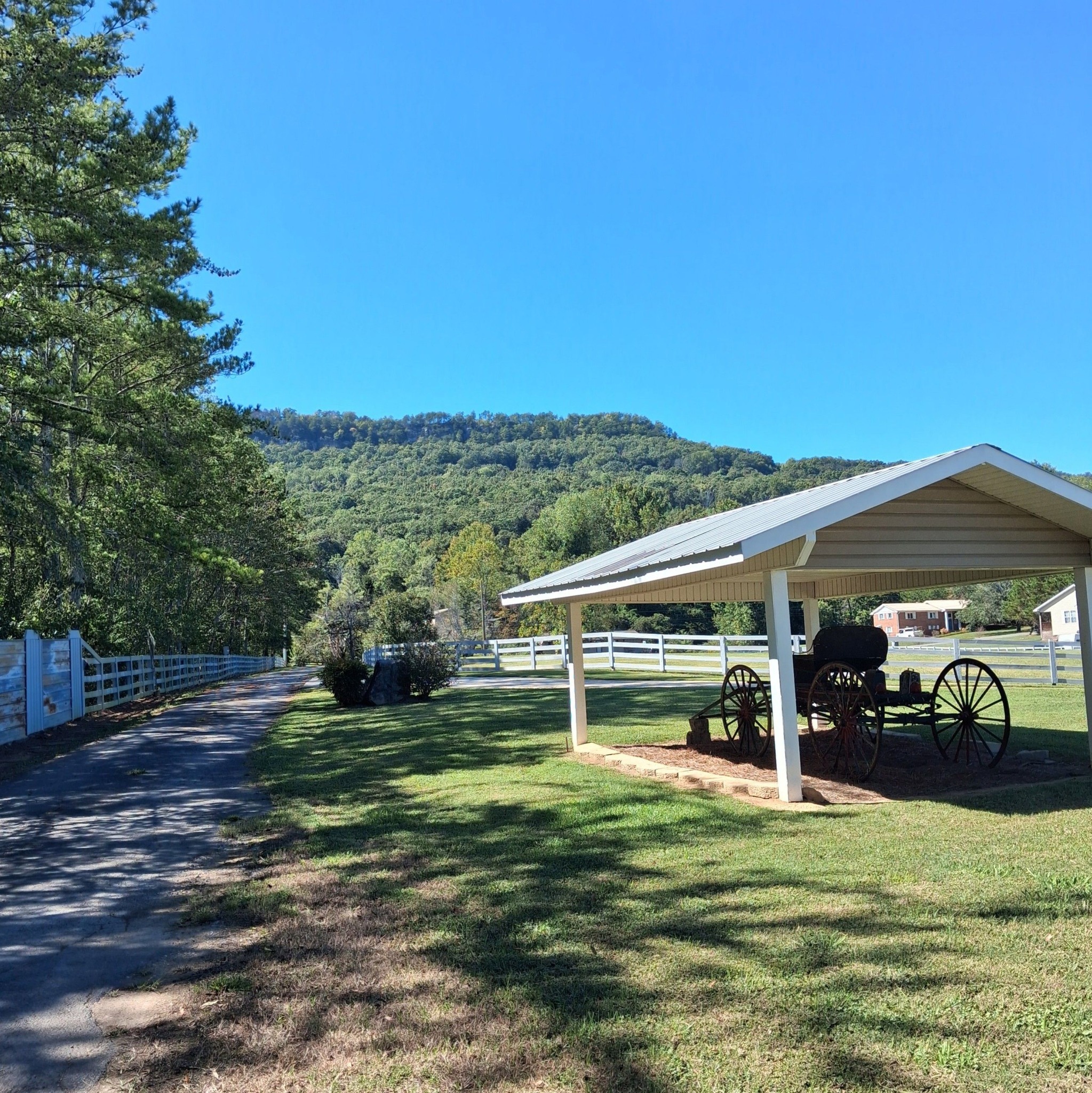 Appalachian Americans | Super tonight!! Fried potatoes with smoked ...