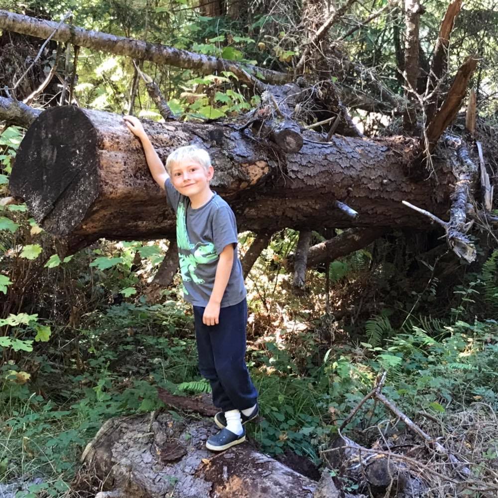 Carmichael-Long Tree Service & Gardening