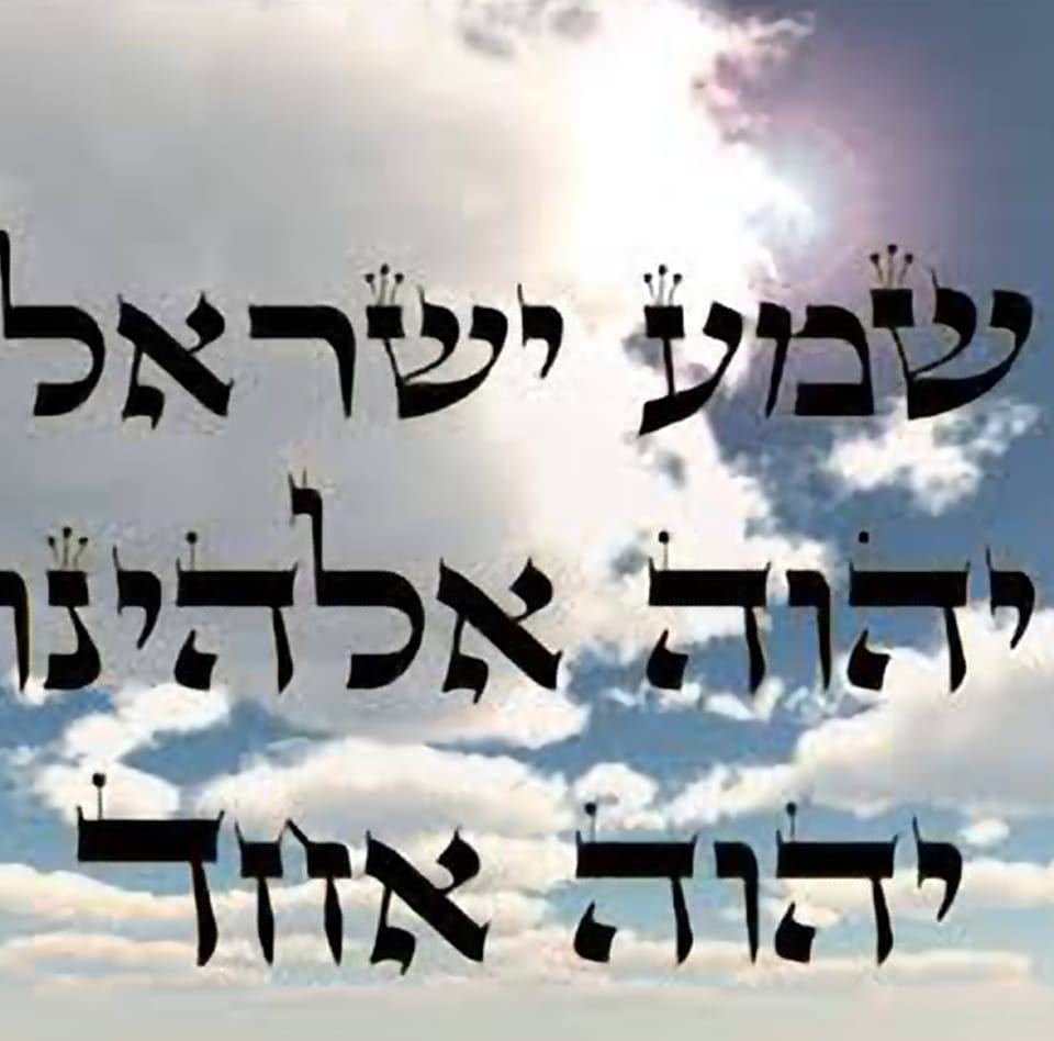 ערוץ - התינוקות של ברק בכר נתנו לרן קוז’וך שיעור חשוב https://sport1 ...