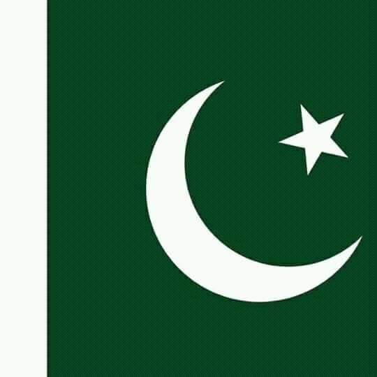 Pakistan tahafuz movement پاکستان تحفظ موومنٹ