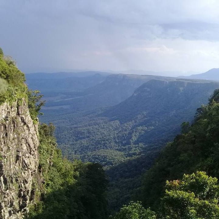 Albertinos Ntutu Rankoko