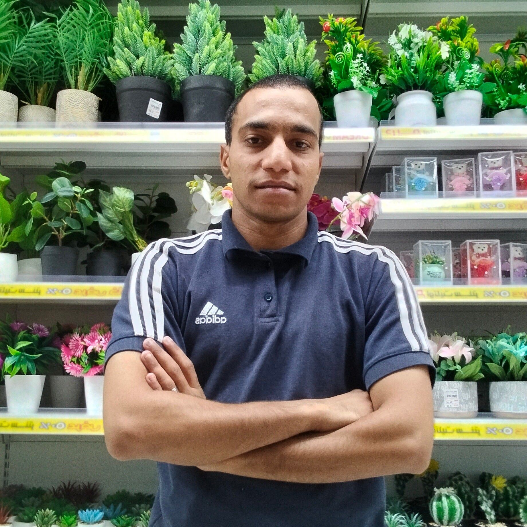 Dr-Mahmoud Roshdy Ebada