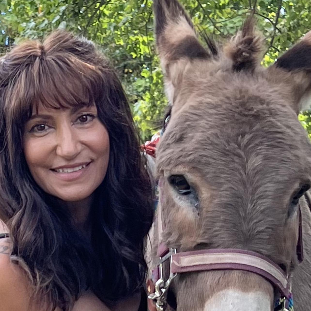 The Rusty Buckle Farm Petting Zoo & Pony Rides | Glocester RI