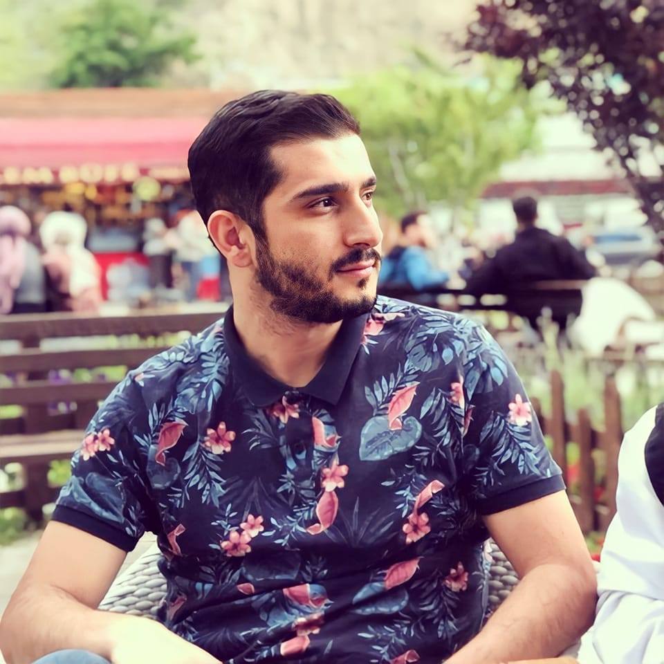 İngiliz Pointer | Facebook