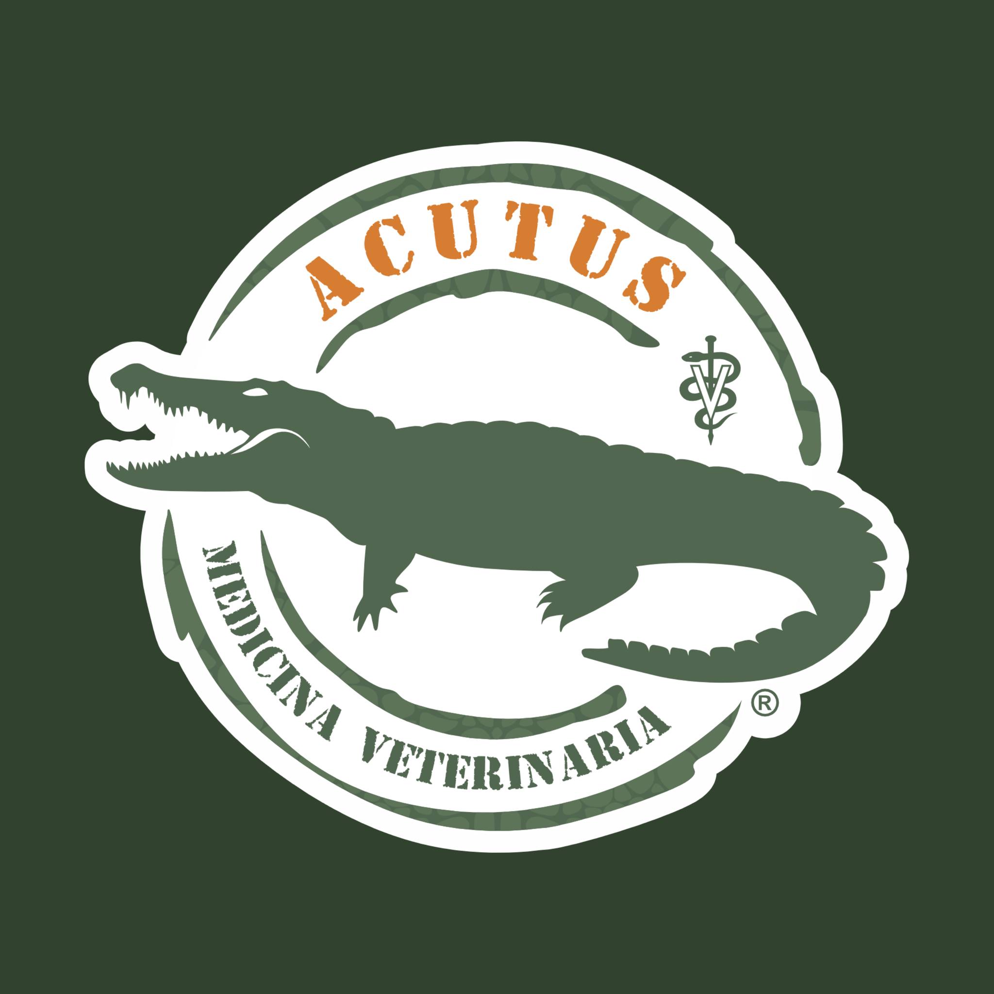 Acutus Medicina Veterinaria | Monterrey