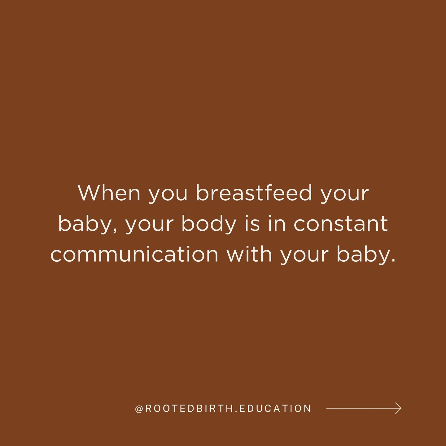 Rooted Birth + These Are My Hours