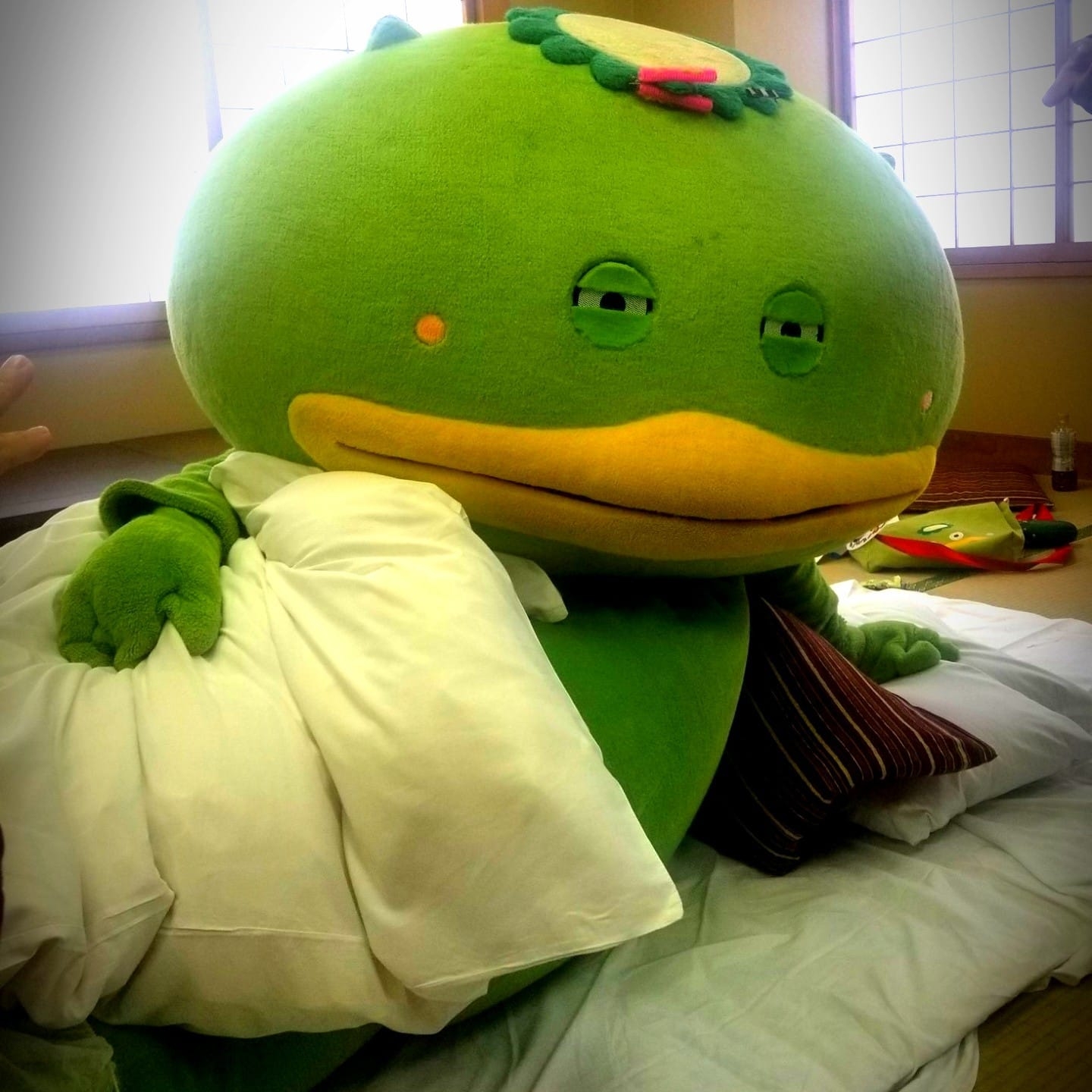 Oi-Skall - 私事でスンマセン…。普段SNSはしてないので担当に送り 