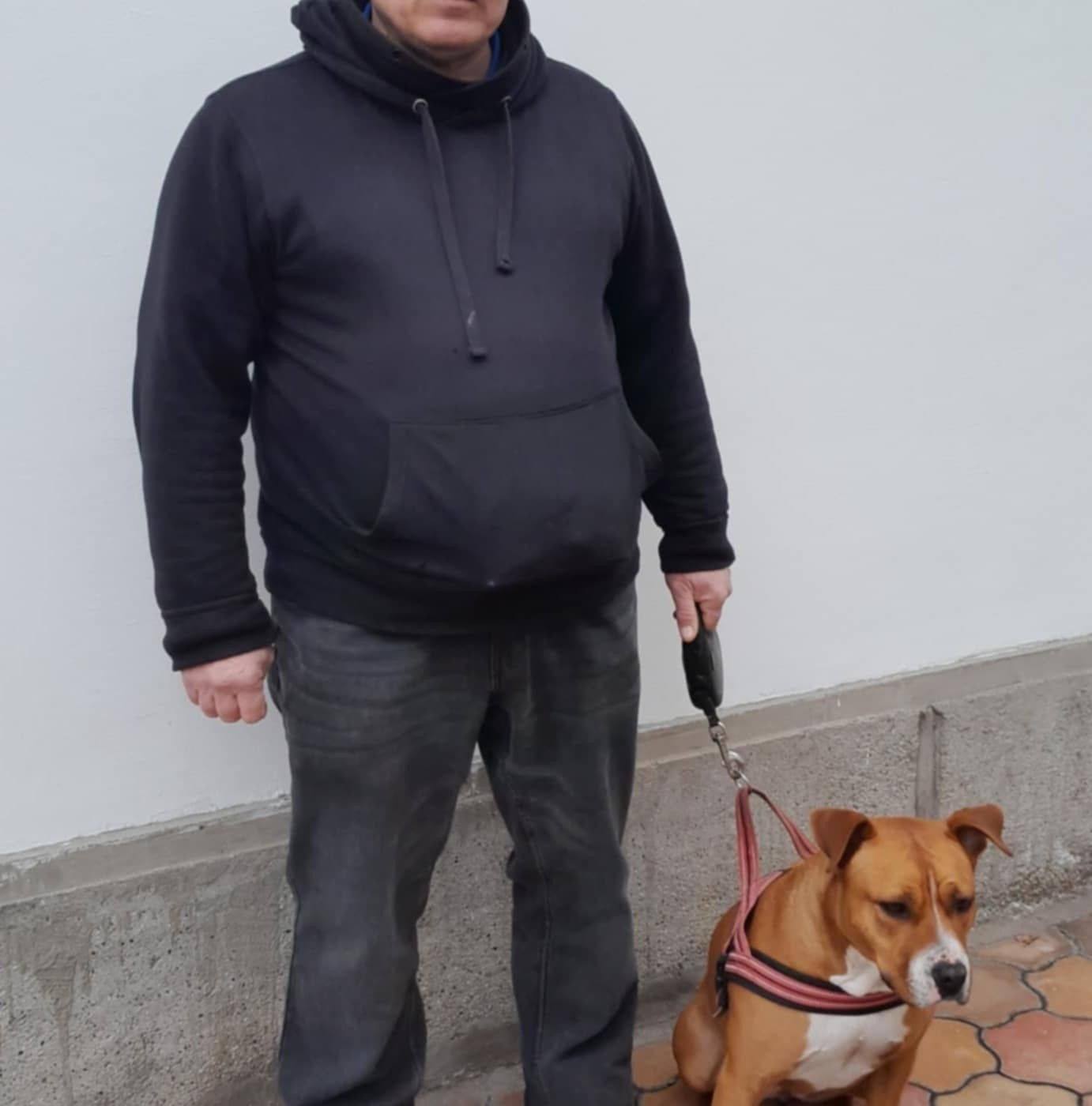 budapesti-vagyon-ri-ll-sok-24-48-beoszt-sban-facebook
