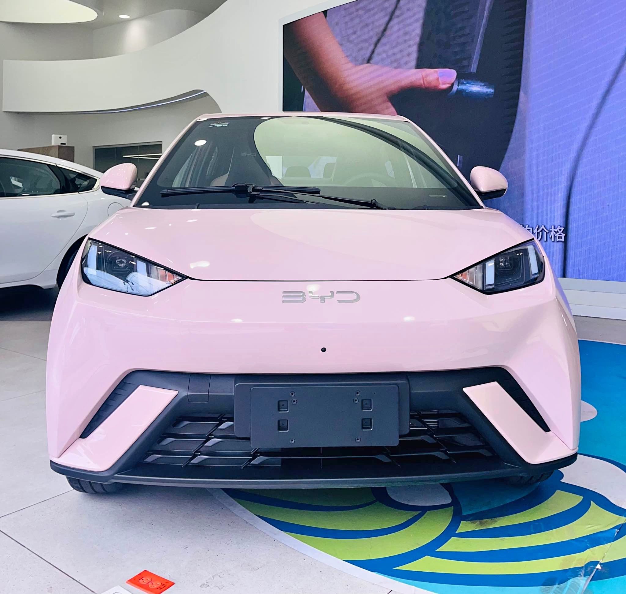 2026 BYD Dolphin Mini