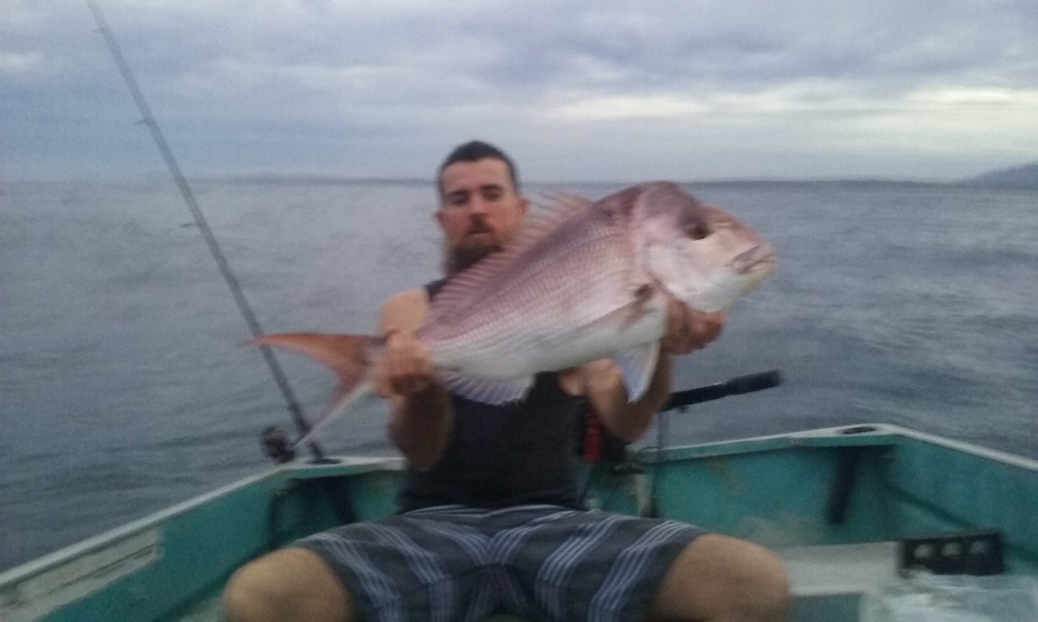 Caught mid north coast nsw. Ulmarra. Any ideas?? | Facebook