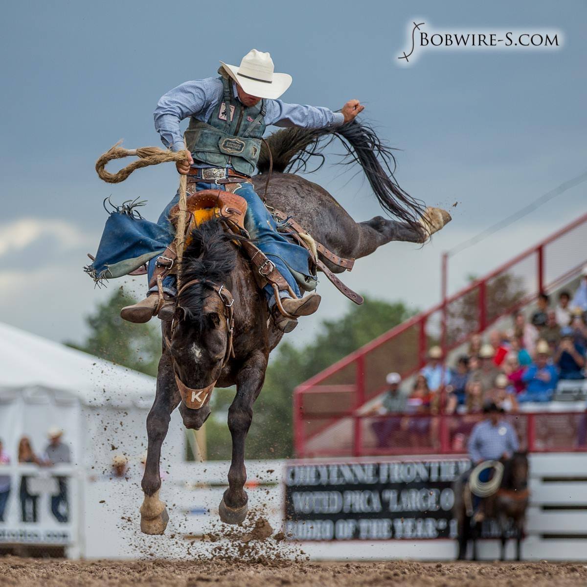 Shon Gibson - Professional Bareback Rider