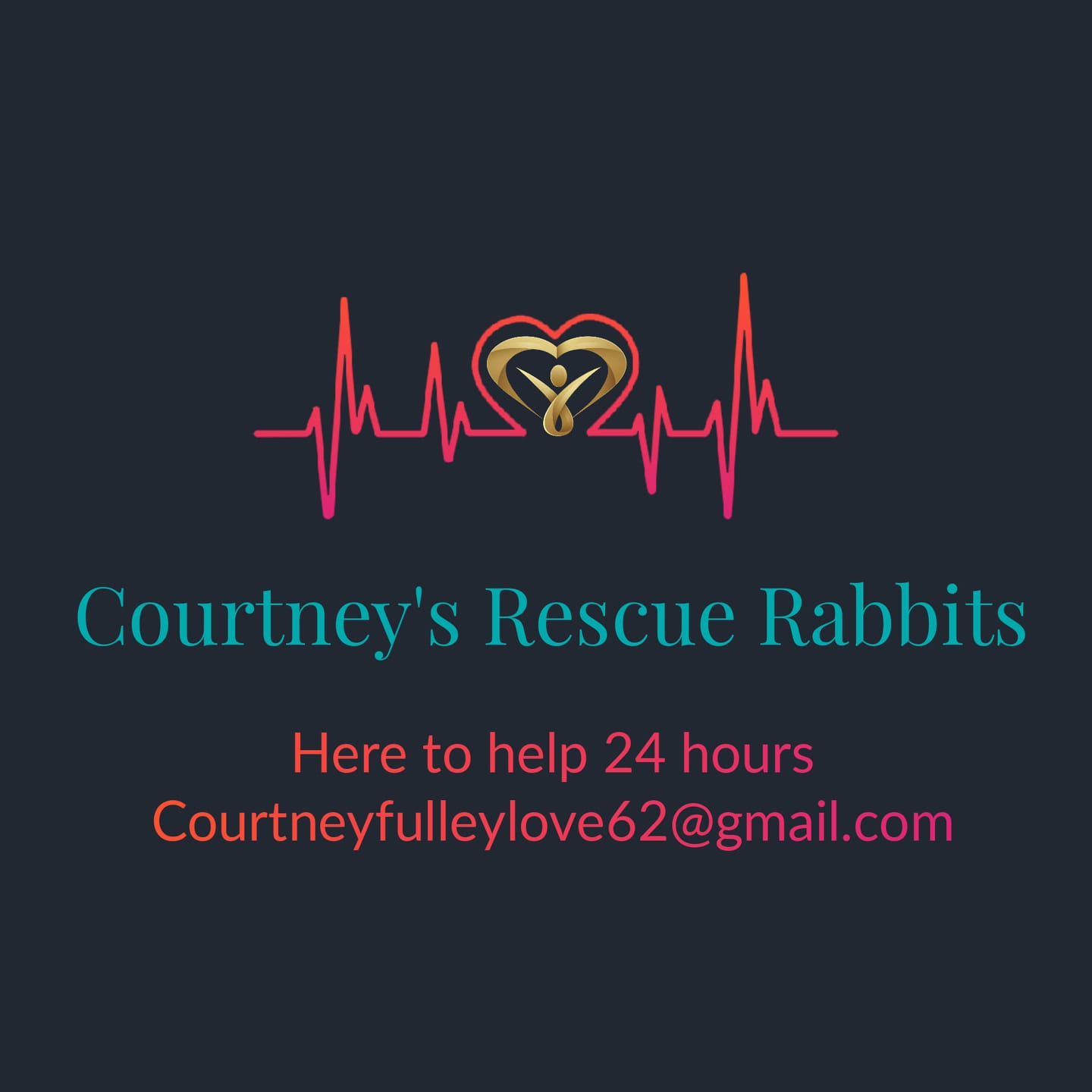 Courtney's rescue rabbits | Sutton in Ashfield