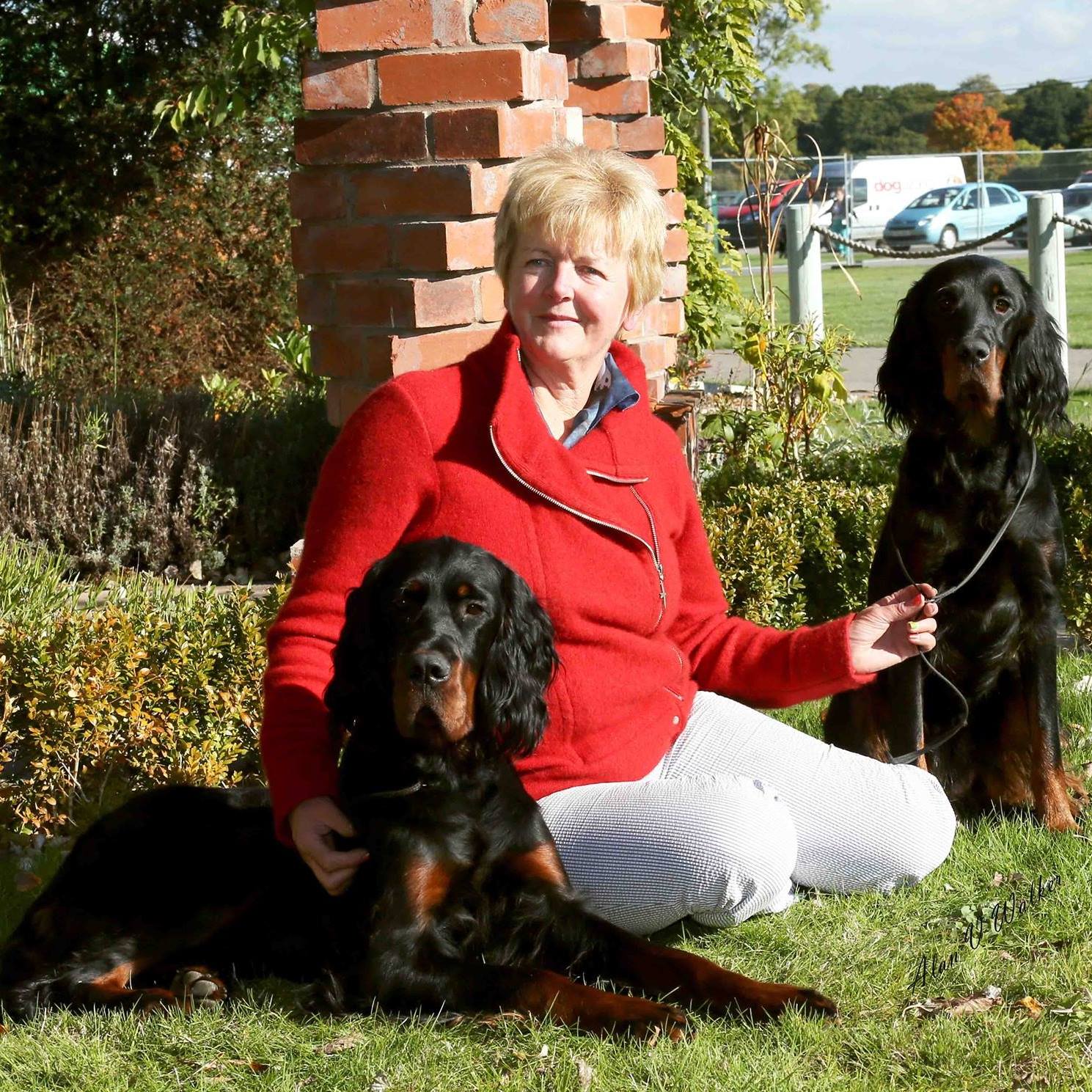 Roo strutting her stuff in Veteran Stakes | Jo Ellis